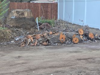 FREE FIREWOOD :)