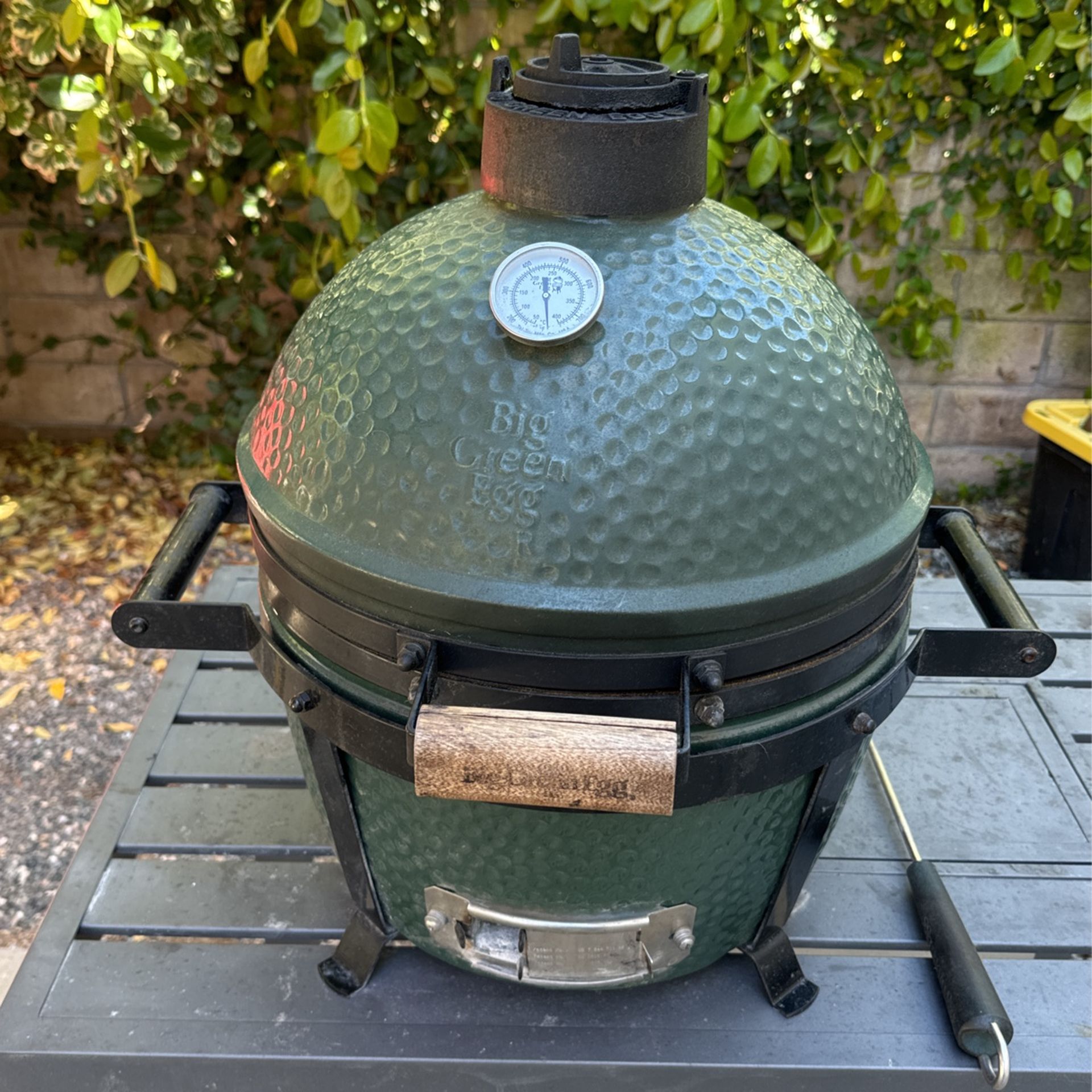 Green Egg Smoker Grill