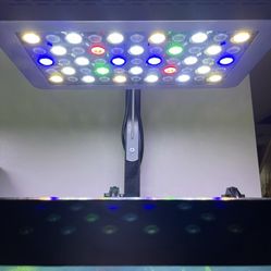 Luces De Acuario