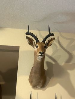 Impala mount
