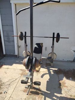 Bench With Weights 