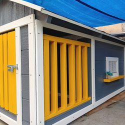 Dog House 