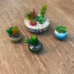 Faux Succulent Plants