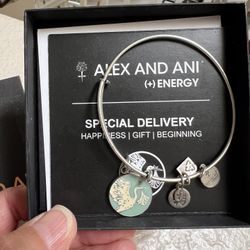 Alex And Ani Baby Boy Stork Bracelet 