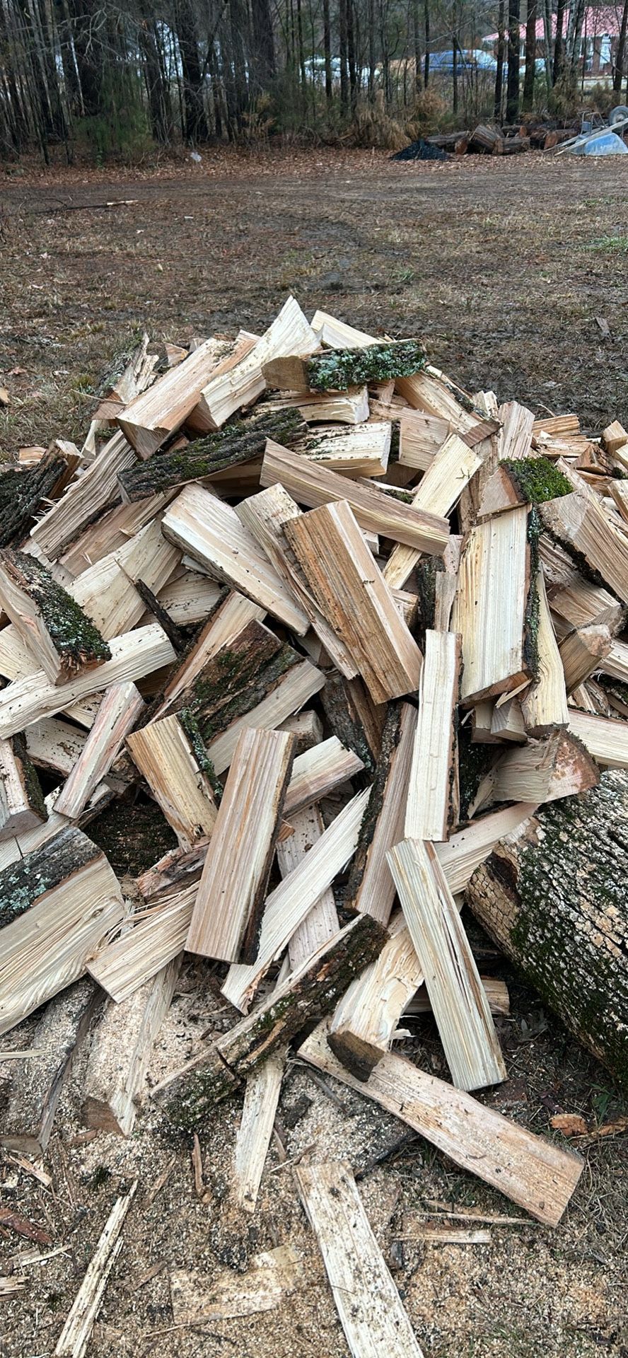 Firewood