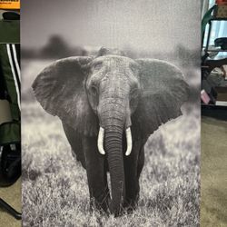 elephant painting