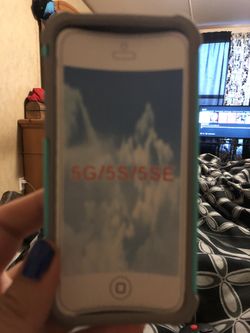iPhone SE/5 case $10