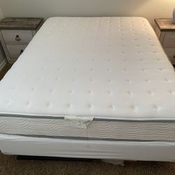 Queen Frame and Box Spring ($30 ea) + Free Mattress (if wanted)
