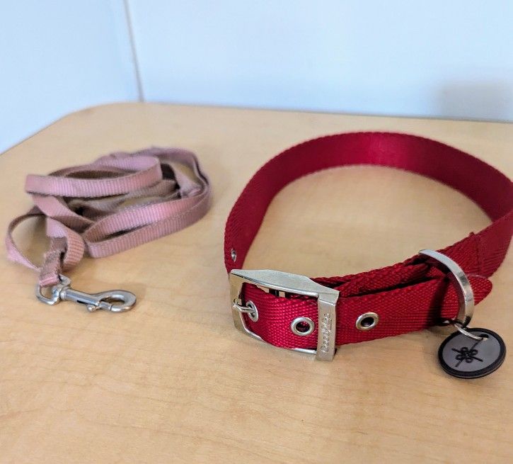 Dog Collar (New Large Nylon) & Pet Leash