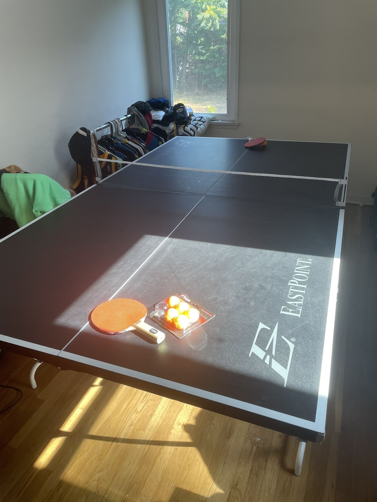 Ping Pong Table
