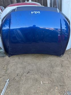 2025 Hood Kia k4