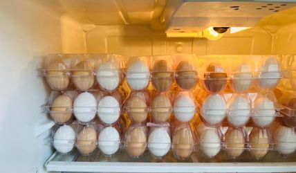 144 farm raised eggs for $85