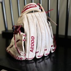 A2000 Baseball Glove