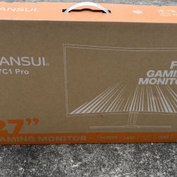 240 Hz Gaming Monitor 