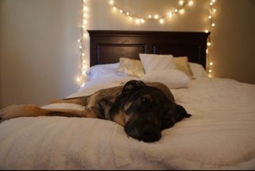 Full size bed frame and mattress