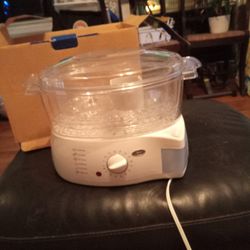 Food Steamer 