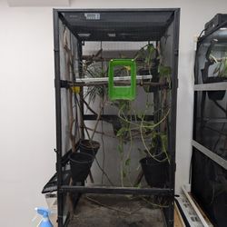 Chameleon Cage