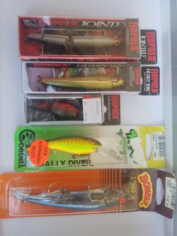 Assorted fishing lures
