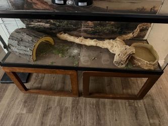60 gallon tank