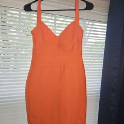 Large STRETCHY DRESS 