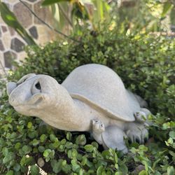 Turtle fingering for your garden