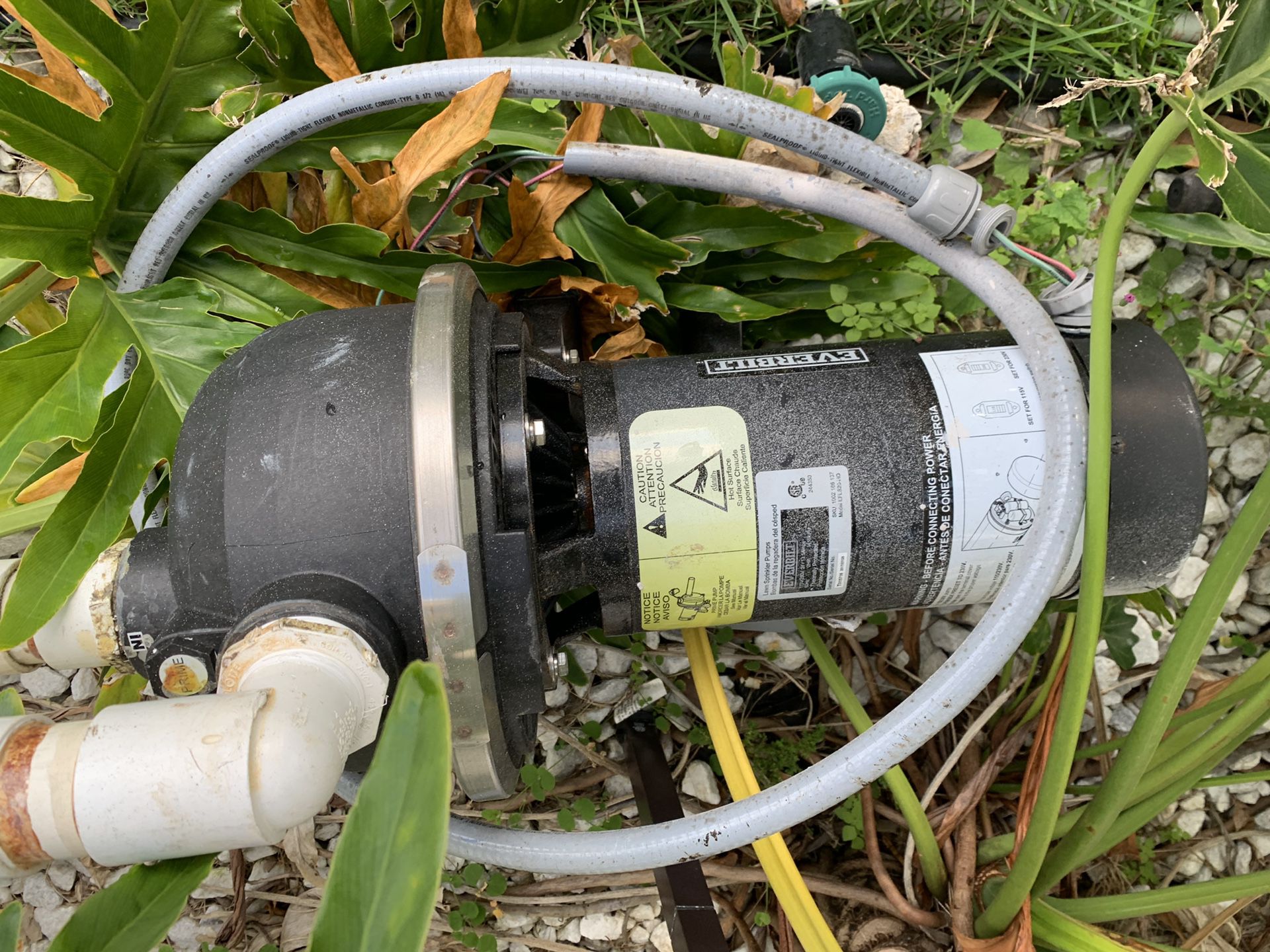 Never used sprinkler pump and motor 2.0hp