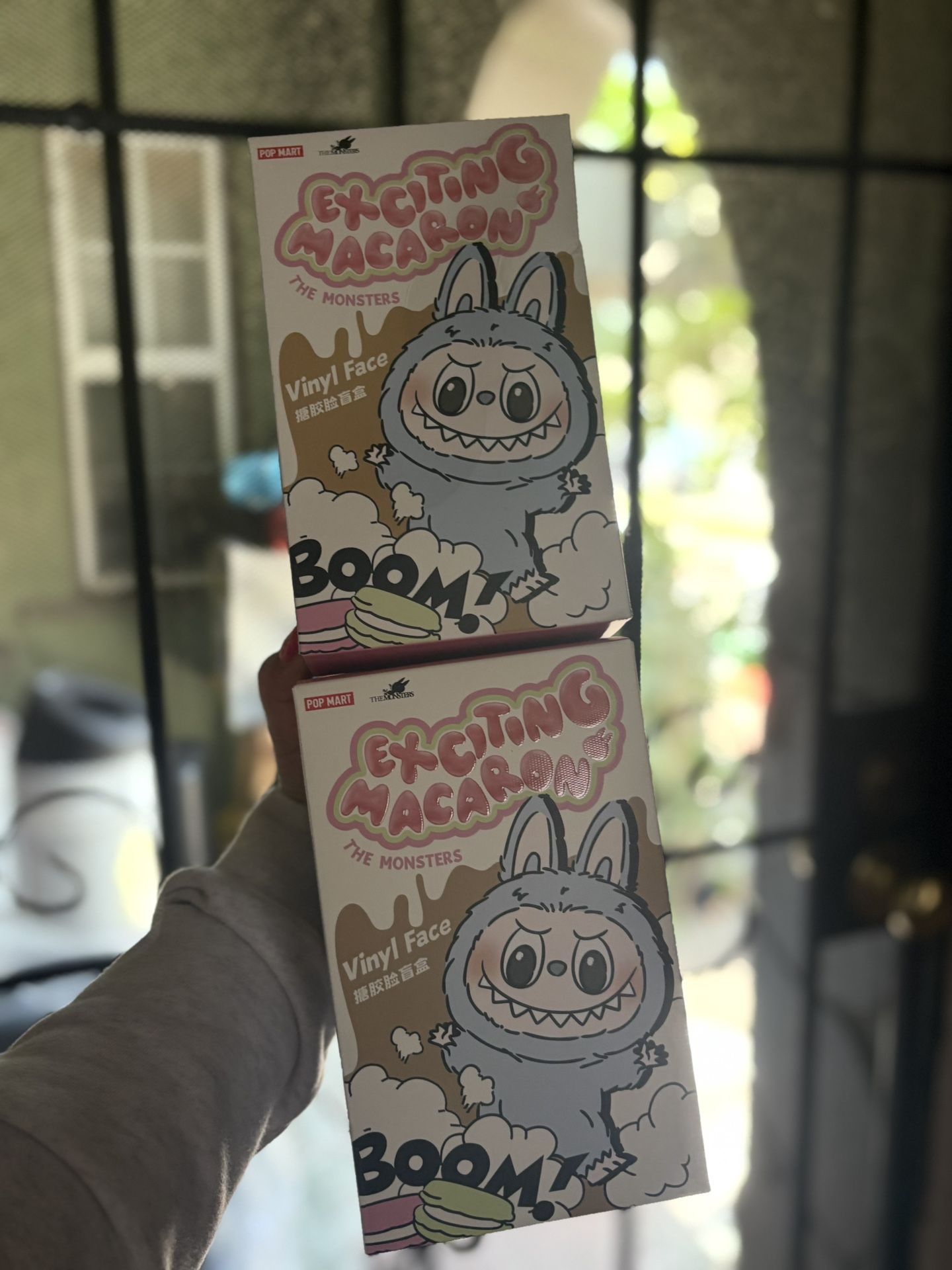 Labubu Macaron Series !
