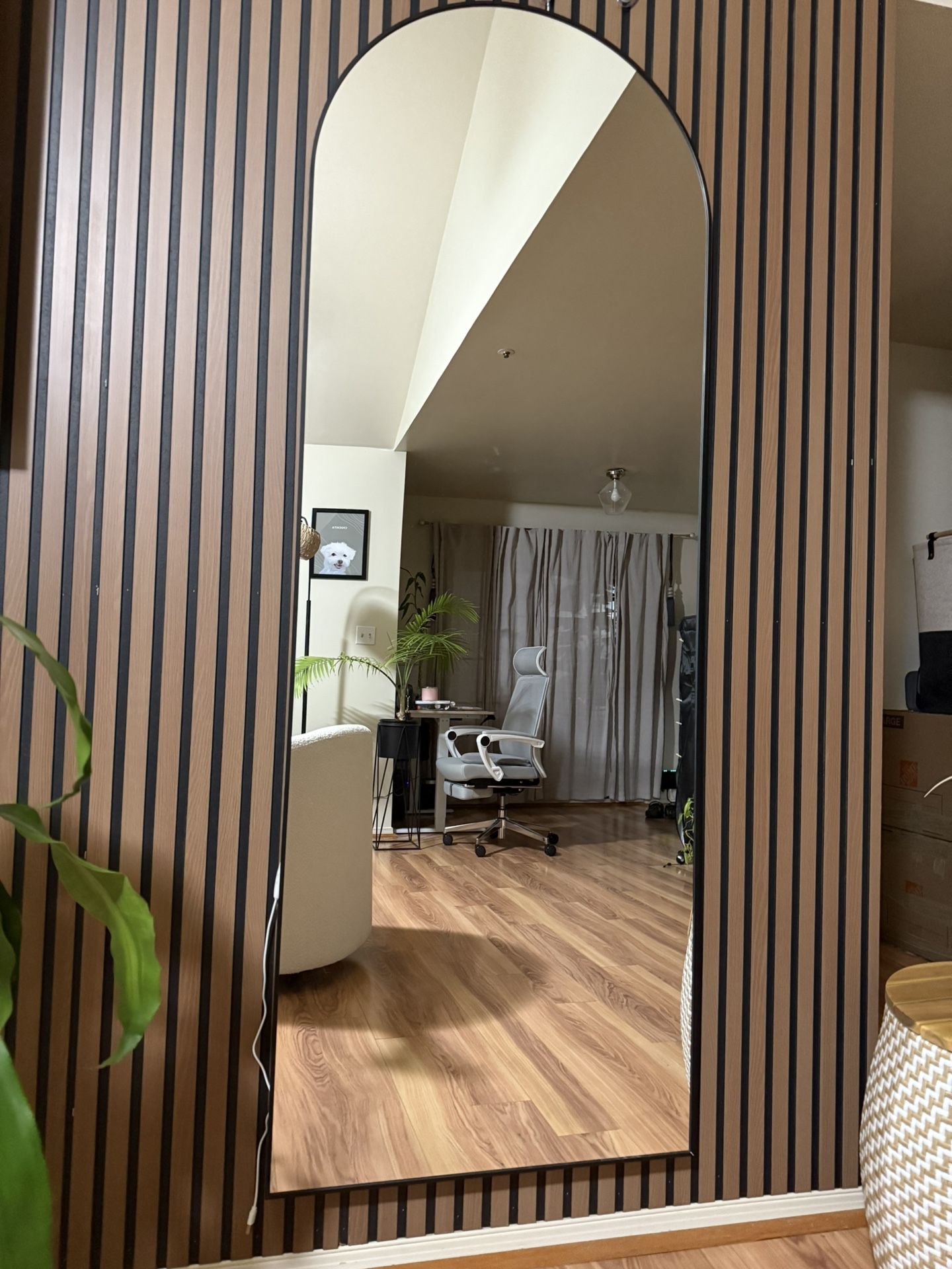 Arched Full Body Mirror 70×25 — Black Frame (New)