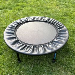 Trampoline For Young Kids 