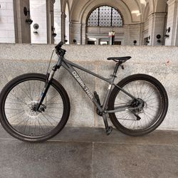 29 In Ozark Trail Mountain Bike