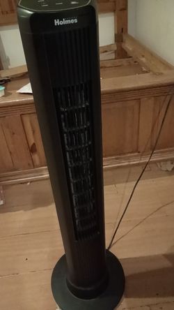 Fan