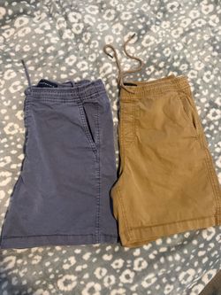 Aeropostale Men's Shorts Bundle – 2 Pairs