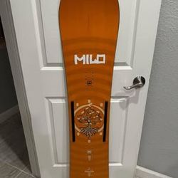 Rome Stale fish 151 Snowboard