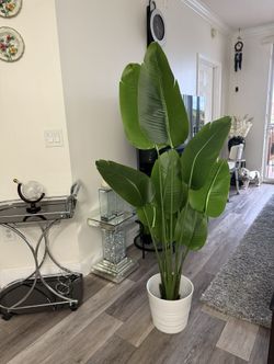 Pretty Artificial Plant 5 Ft Tall With Tall Plantar! Brand New ( Ask For Price) 