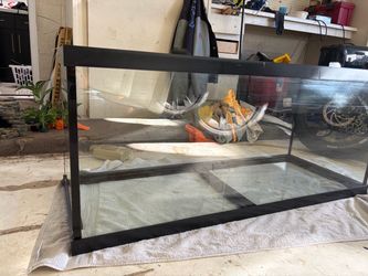 75 Gallon tank and Water cooler for exotic fish