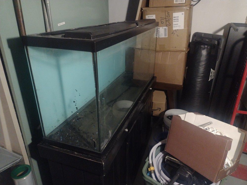 Large Fish Tank + Accessories 
