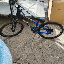 Giant Bike 