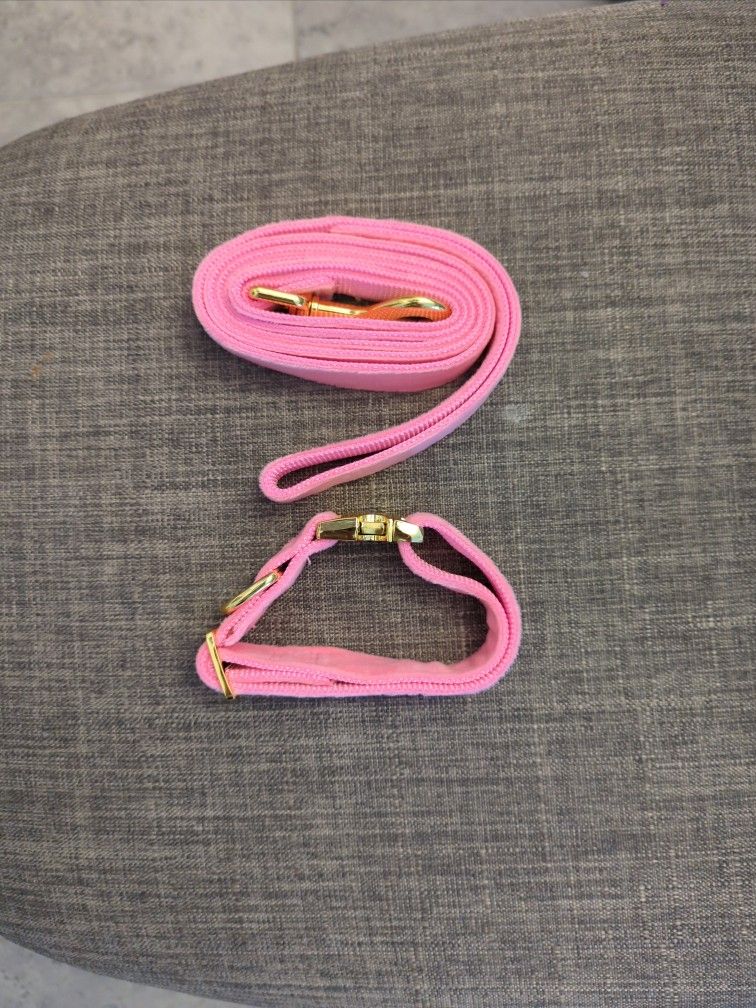 Small Dog Collar and Leash