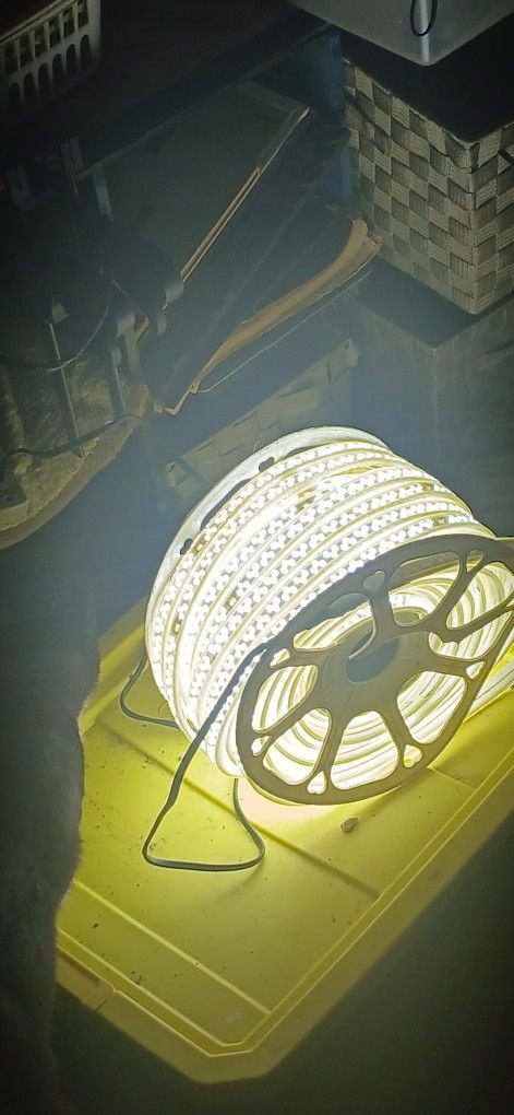 100ft Waterproof Indoor/Outdoor String Lights