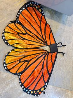 Butterfly Wings Costume