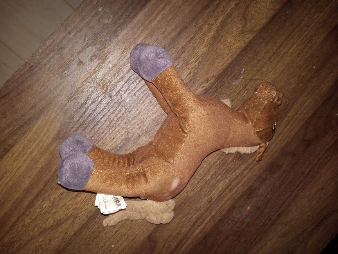 Toy
