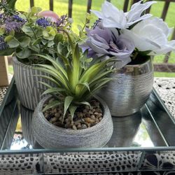 Glass Mirror Tray Price for The Tray Itself 
