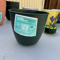 Dayton 6in Turtle Green Ocean Plastic Planter