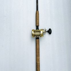 Shimano Calcutta 700B And Rod (Big Game Fishing Combo)