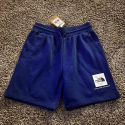 Mens North Face Shorts 