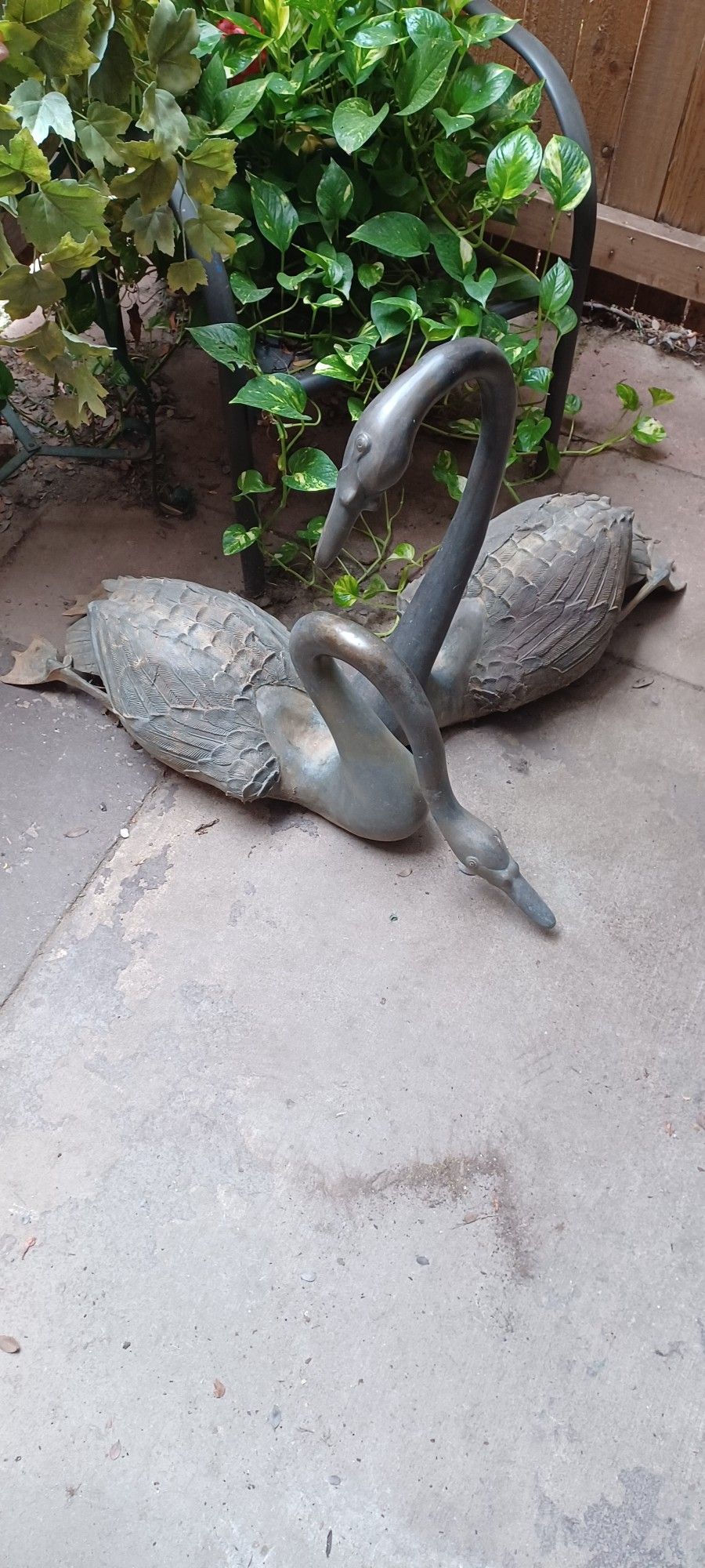 LIFE SIZE BRONZE SWANS