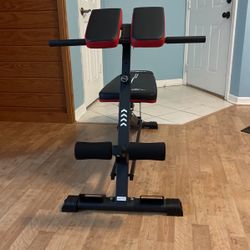 FlyBird 3 in 1 Workout  Bench, Roman Chair, Weight Bench and Sit Up Bench for Hyper Back Extension and Full Body Workout with Handle, Abdomen core