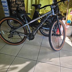 Spatial 21 Speed Mountain Bike 29"