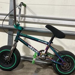 Wildcat Mini Bike (OFFERS ALLOWED)