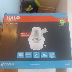 Halo outdoor security light
